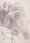 Study of Trees and Rocks,kaaterskill Clove